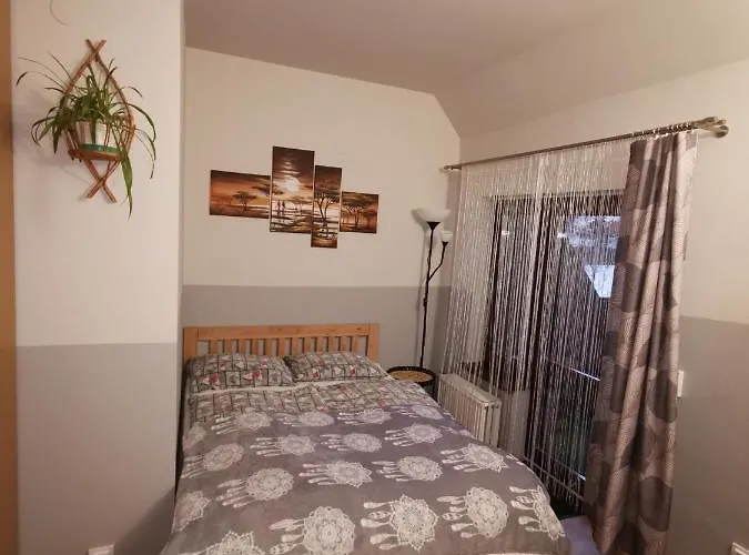 Проживание в семье Olimp I *