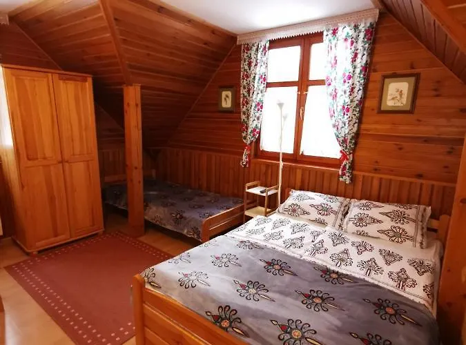 Проживание в семье Olimp I *