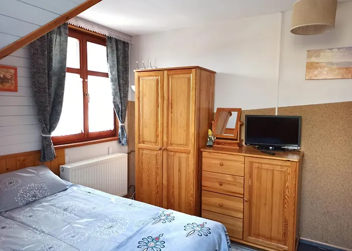 Проживание в семье Olimp I