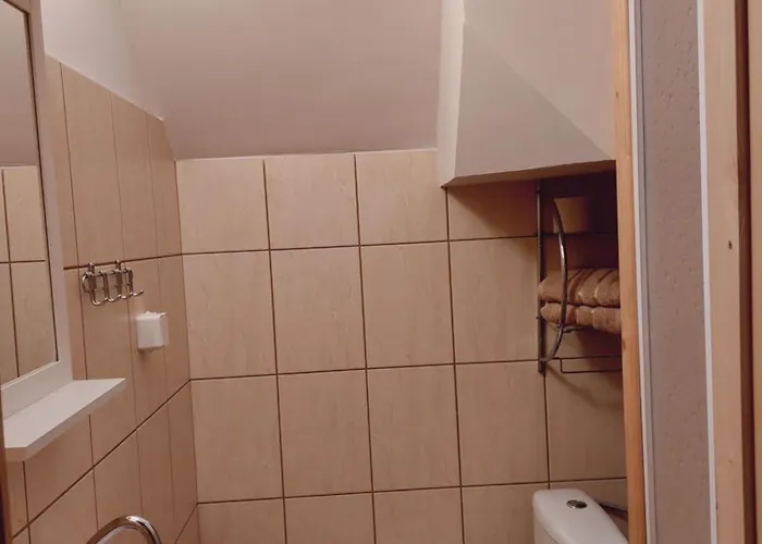 Olimp I Проживание в семье *